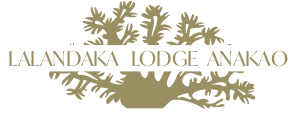 Hôtel Eco-lodge Lalandaka