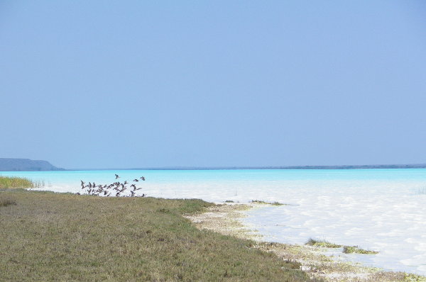 Parc national Tsimanampetsotsa