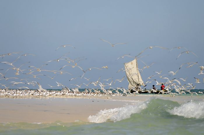 Nosy Ve et ses bancs de sable